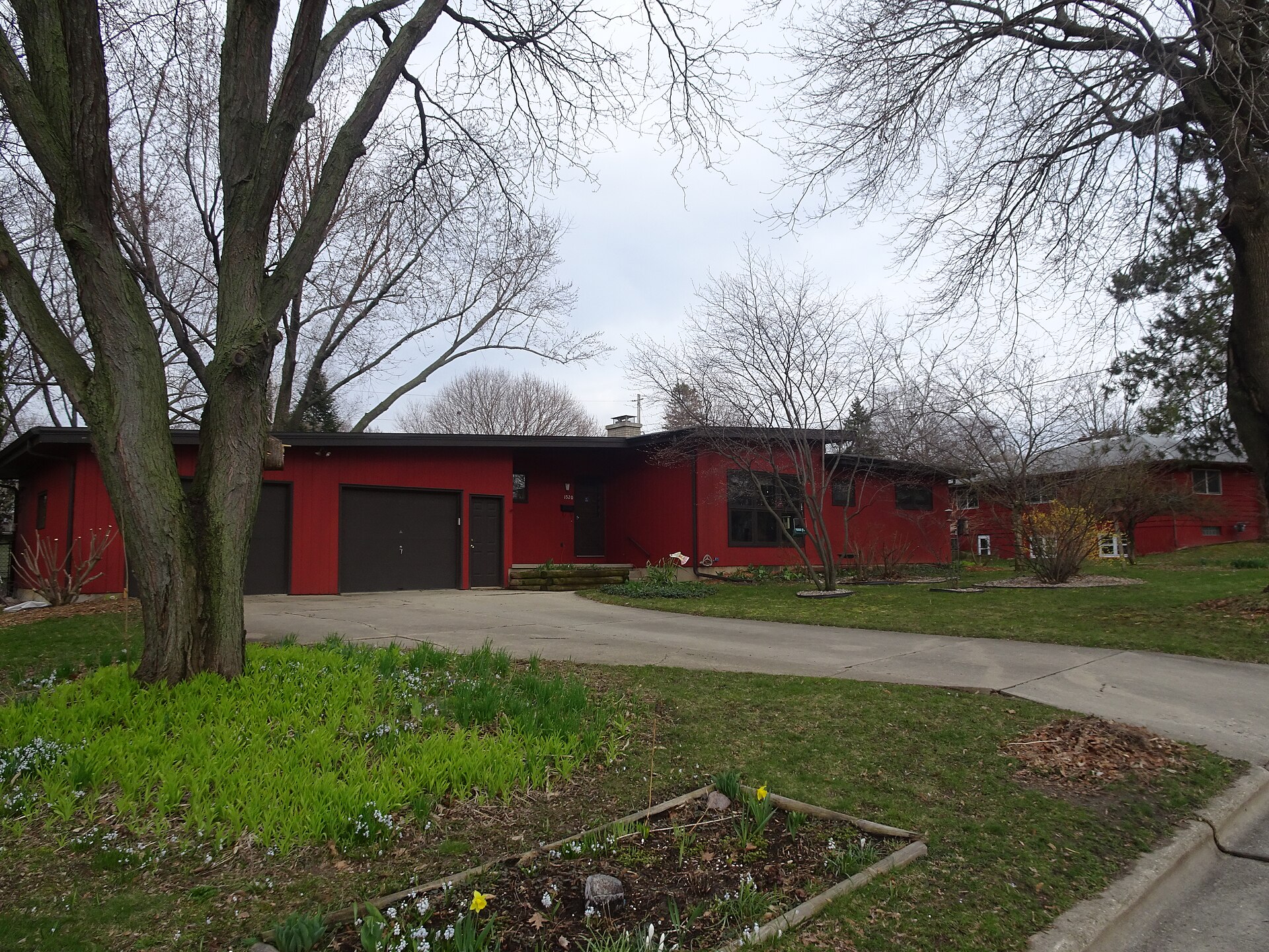 Midcentury ranch house with attached garage on a tree-lined street