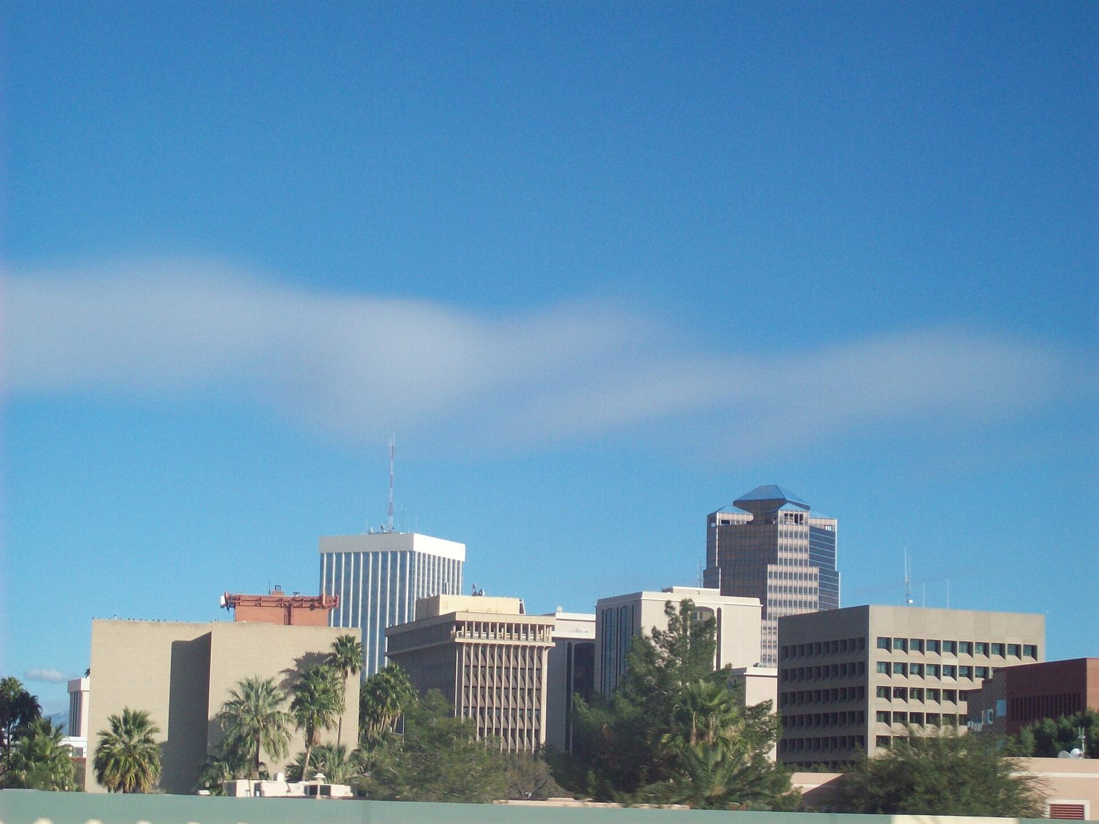 Downtown Tucson, Arizona skyline with palm trees under a blue desert sky